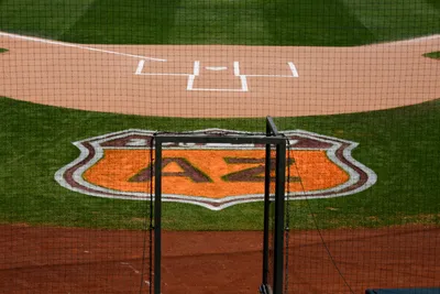 DSC_1687 (Large).JPG